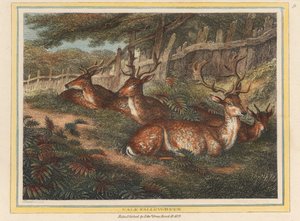  de Samuel Howitt