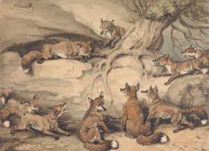 Nueve zorros reunidos alrededor de un árbol: ilustración de la fábula de Esopo "El zorro que perdió la cola" de Samuel Howitt