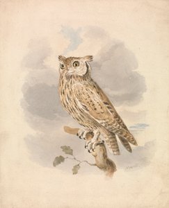Autillo de Samuel Howitt