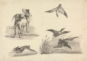 Hoja de Estudios de Lebreles, Liebres, Halcones y Patos