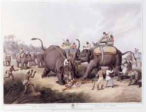 El tigre muerto; Mort du tigre, 1807 de Samuel Howitt