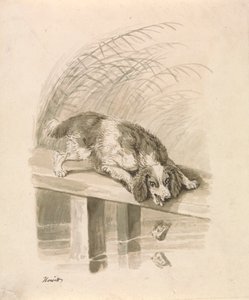 El perro y la sombra de Samuel Howitt