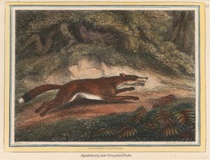 El zorro cazado de Samuel Howitt