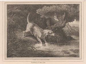 El sabueso nutria de Samuel Howitt