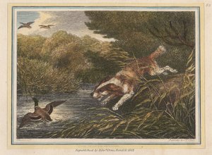 El perro de aguas de Samuel Howitt