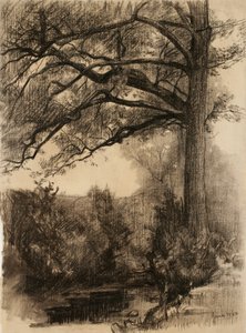 Paisaje con árbol grande, 1884 de Samuel Isham