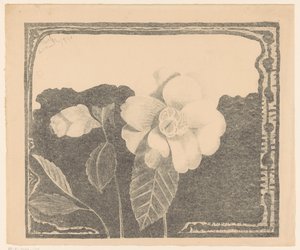 Camelia, dejó una flor en capullo