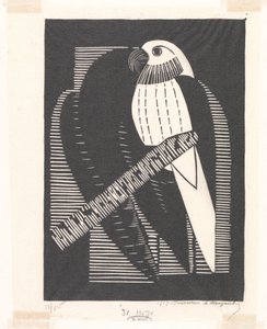 Perico (periquitos) de Samuel Jessurun de Mesquita