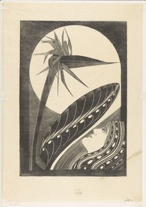 Strelitzia en flor