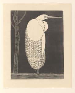 Egret