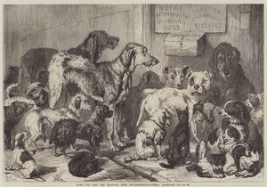 Hogar para perros perdidos y hambrientos, Hollingsworth-Street, Islington