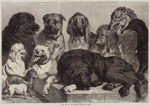 Perros premiados en la Exposición Canina del Palacio de Cristal