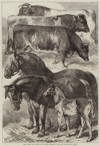 Caballos y Ganado Premiados en la Reunión de Oxford de la Real Sociedad Agrícola