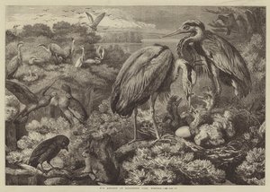 La garza en Didlington Park, Norfolk de Samuel John Carter