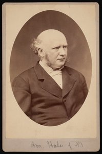Retrato de Robert Safford Hale 1822-1881, antes de 1881