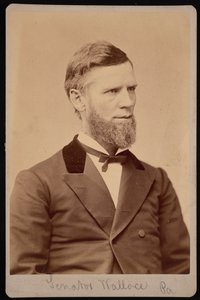 Retrato de William Andrew Wallace 1827-1896, entre 1876 y 1880 de Samuel Montague Fassett