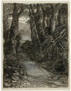 Estudio de un bosque de Samuel Palmer