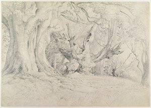 Árboles antiguos, Parque Lullingstone, 1828 de Samuel Palmer