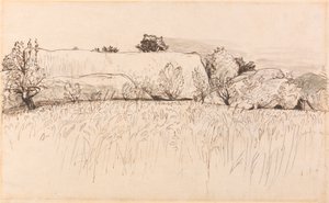 Campos de maíz con granero, Shoreham de Samuel Palmer