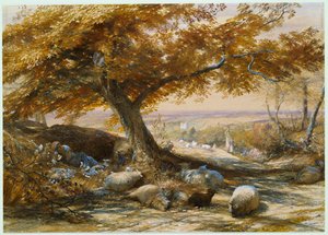 Ovejas en la sombra, c.1851