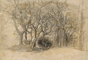 Estudio de árboles, Clovelly Park, 1834 de Samuel Palmer