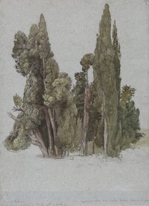 Los cipreses de Villa d
