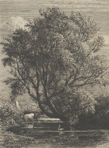 El sauce, 1850