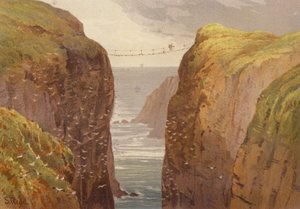 Norte de Irlanda, Carrick-a-Rede (litografia en color) de Samuel Read
