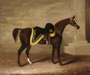 Copenhague, el caballo del Duque de Wellington en Waterloo de Samuel Spode