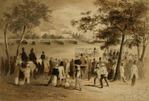 Government Domain, Sídney de Samuel Thomas Gill