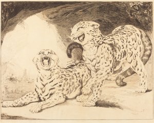Leopardos de Samuel William Reynolds I after James Northcote