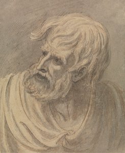 Cabeza de hombre con barba mirando a la izquierda de Samuel de Wilde