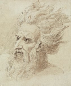 Cabeza de hombre con barba y pelo largo al viento