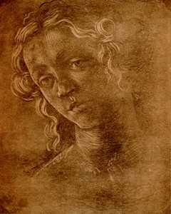 Cabeza femenina de Sandro Botticelli