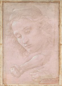 Cabeza de un joven con gorra; un antebrazo derecho con la mano agarrando una piedra; y una mano izquierda sosteniendo una tela de Sandro Botticelli
