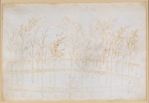 La Divina Comedia, Paraíso I: Ascenso al cielo de fuego. Beatriz explica a Dante las fuerzas que rigen el universo de Sandro Botticelli