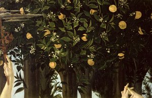 Primavera, detalle del naranjo de Sandro Botticelli