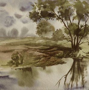 Reflejo en el río en calma