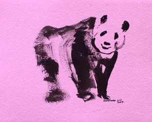 Lindo panda rosa de Santhosh ch