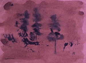 Oscuro paisaje forestal de Santhosh ch