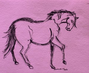 Contorno dinámico de caballo de Santhosh ch
