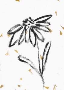 Flor con pétalos que caen de Santhosh ch