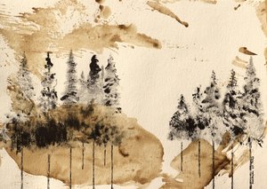 Serenidad del bosque de Santhosh ch