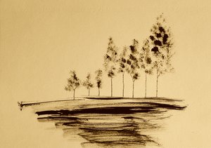 Sereno reflejo de árbol de Santhosh ch