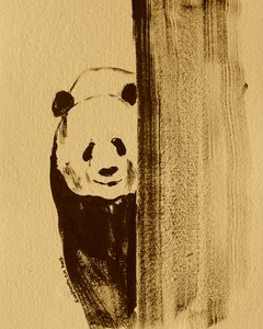Panda tímido asomándose de Santhosh ch