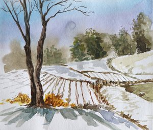 Paisaje invernal en el campo de Santhosh ch