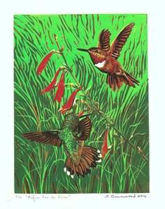Rufus Pas de Deux, 2016 (Linograbado ) de Sarah Drummond