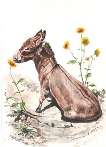 Stop and Smell the Flowers, 2024 (Acuarela sobre papel) de Sarah Drummond