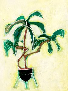 Planta moderna en maceta