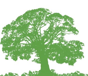 Árbol para Trepar, 2009 de Sarah Hough
